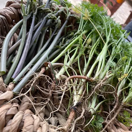 La Melea - Vegan * Lucignano