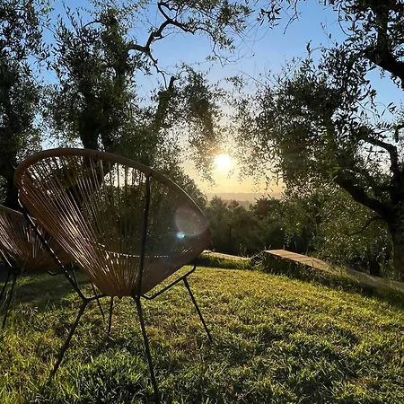 Bed & Breakfast La Melea - Vegan *