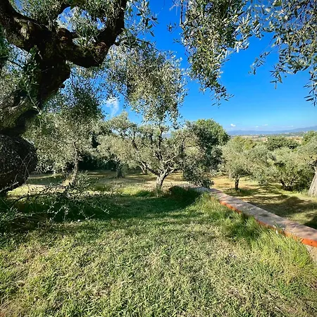 La Melea - Vegan Bed & Breakfast