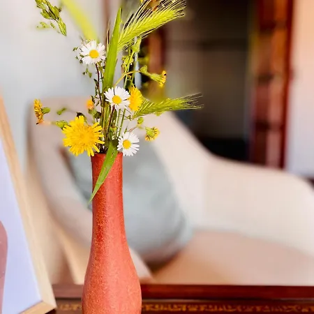 Bed & Breakfast La Melea - Vegan *